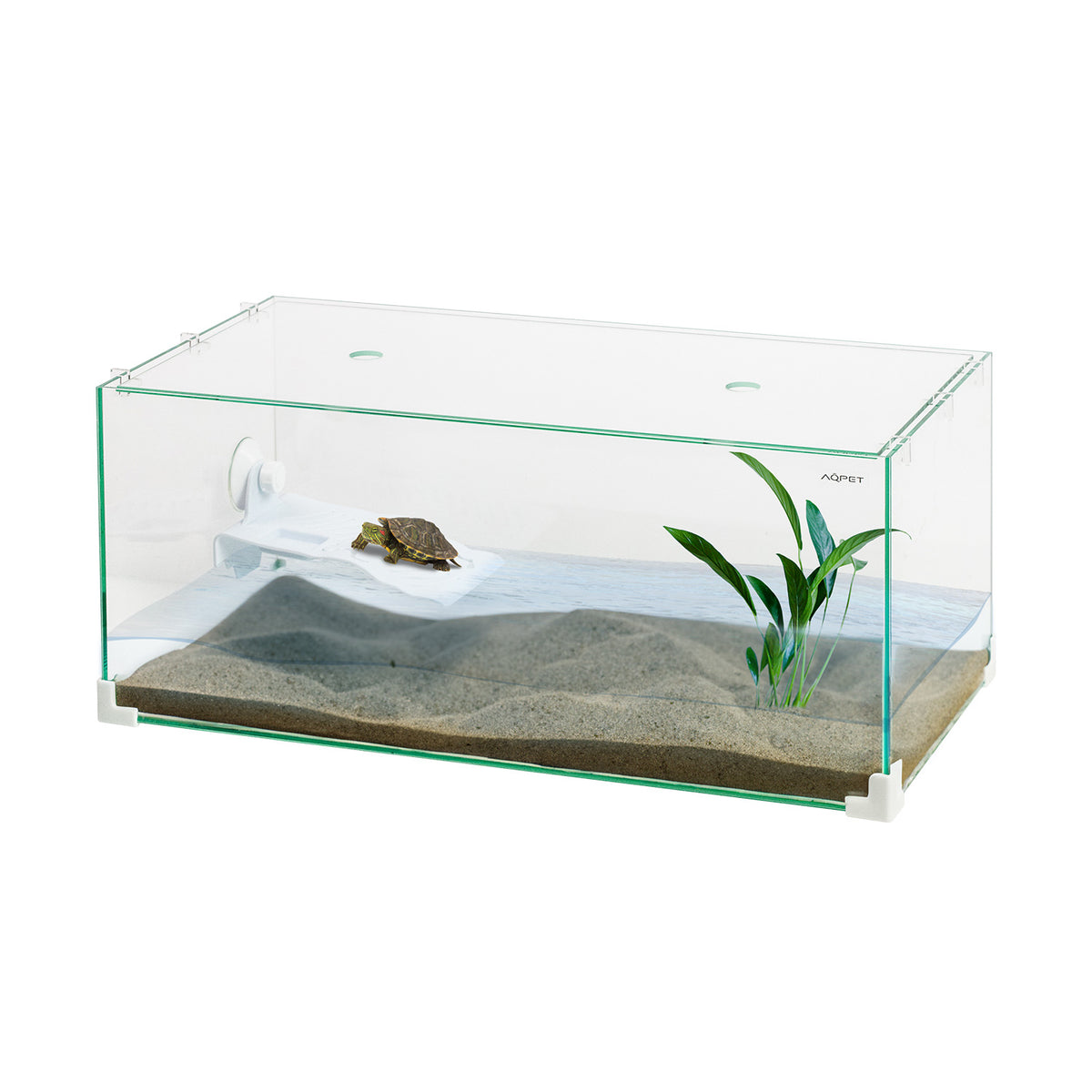 AQPET GLAS-TURTLE-BECKEN TORTUGA 60 - 60X30X25 CM MIT INSEL
