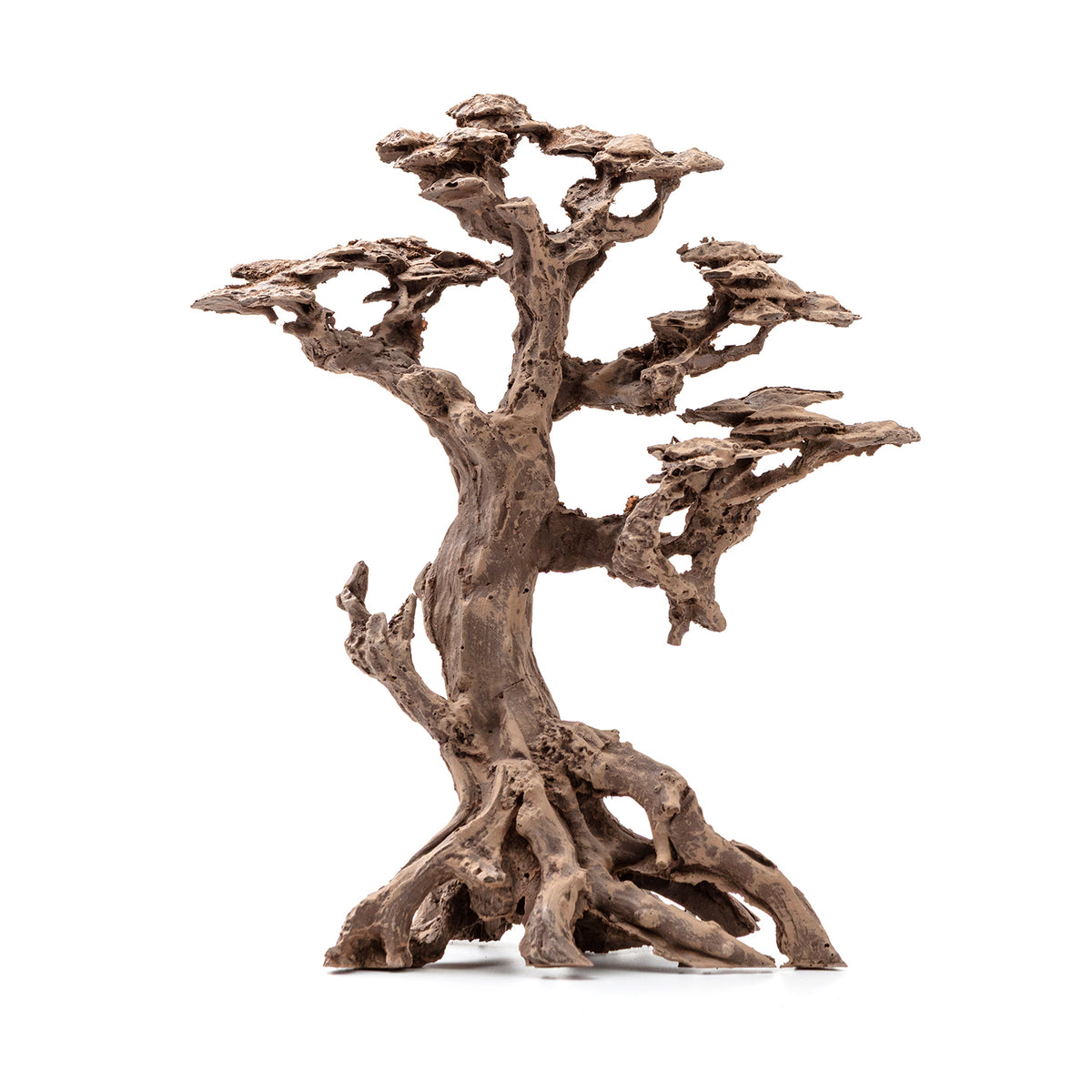 AQ PET ZEN BONSAI AUS HARZ 5