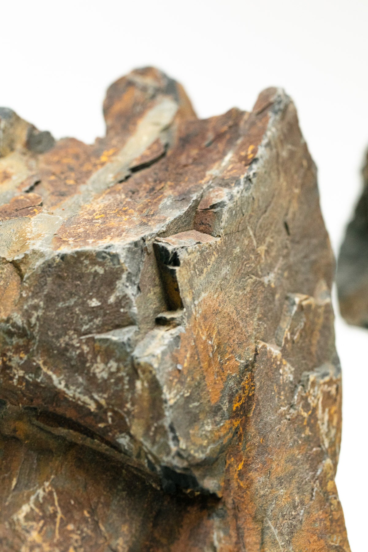 AQPET ZEN STONE ROCCE BLACK FOREST (PACK.10KG GEMISCHT) 300GR /3 KG