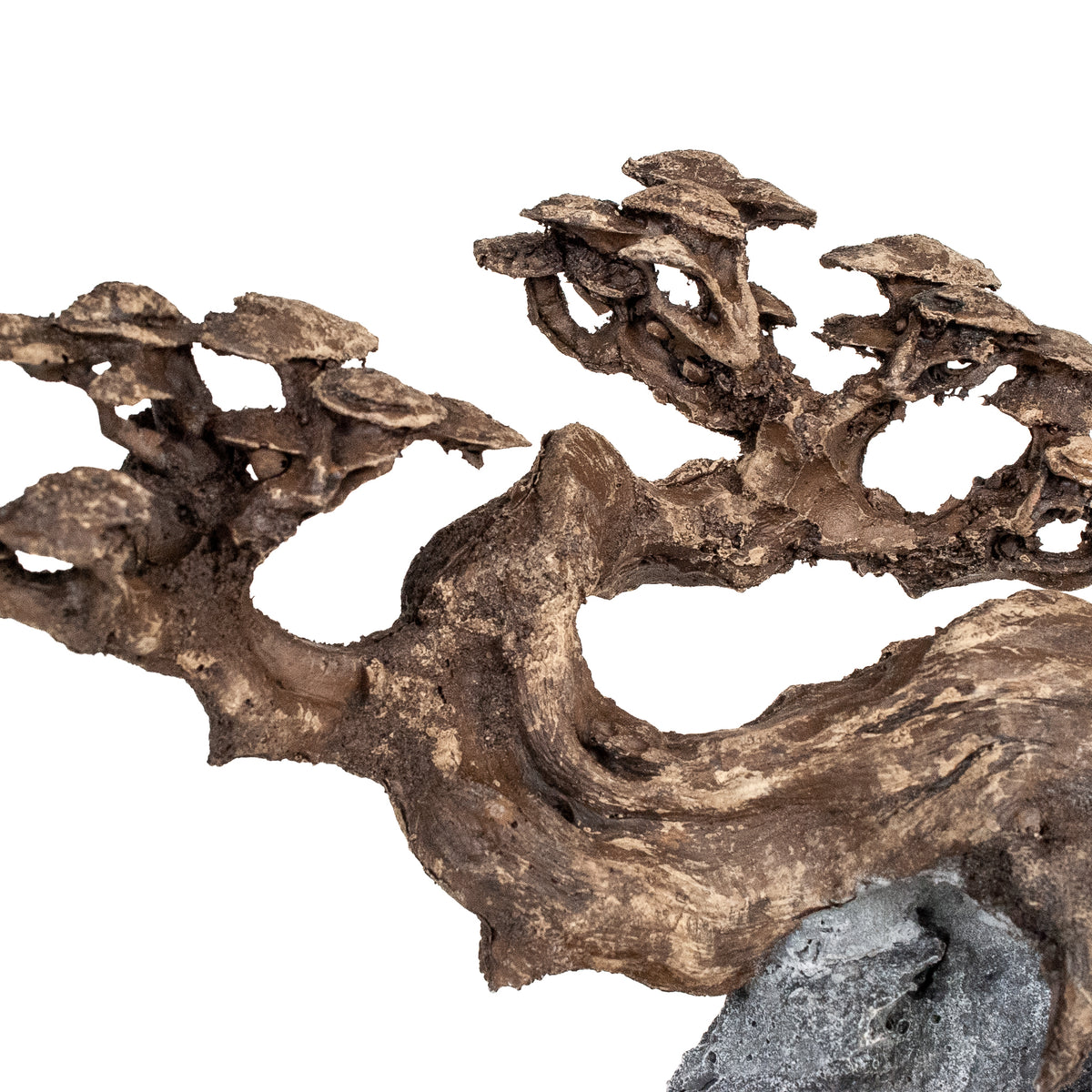 AQPET ZEN BONSAI AUS HARZ 10