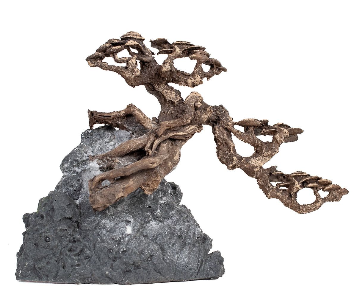 AQPET ZEN BONSAI AUS HARZ 11