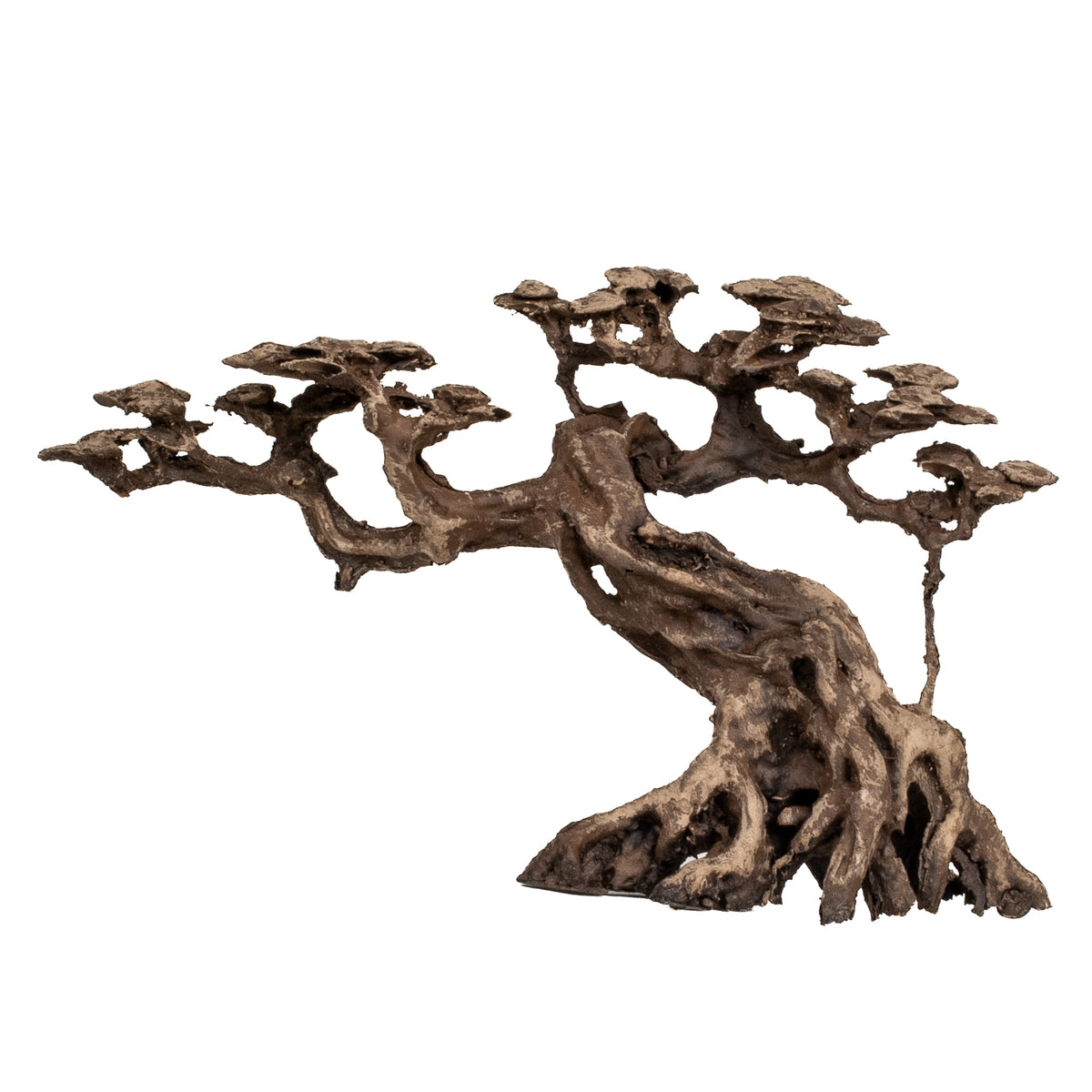 AQPET ZEN BONSAI AUS HARZ 12