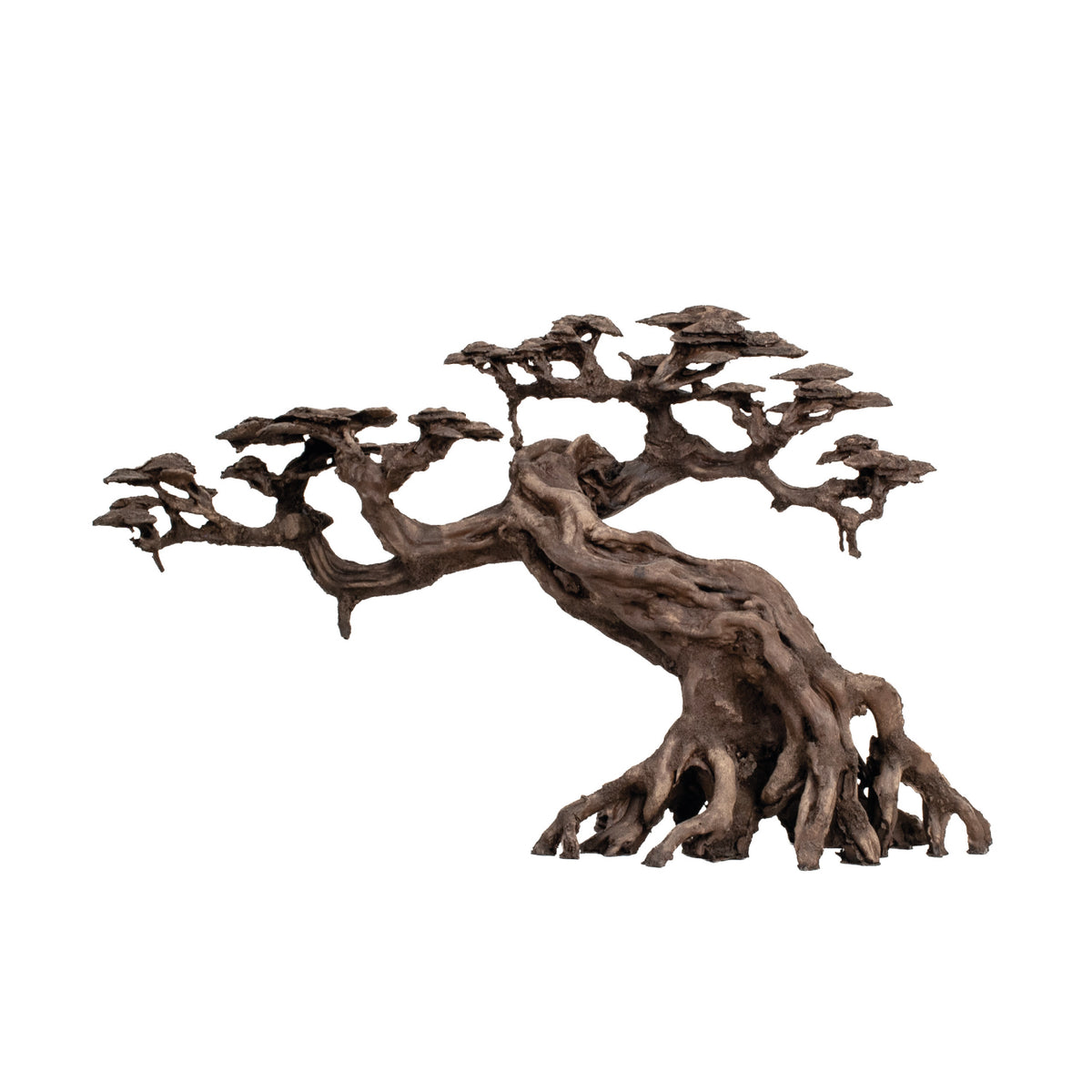 AQPET ZEN BONSAI AUS HARZ 14