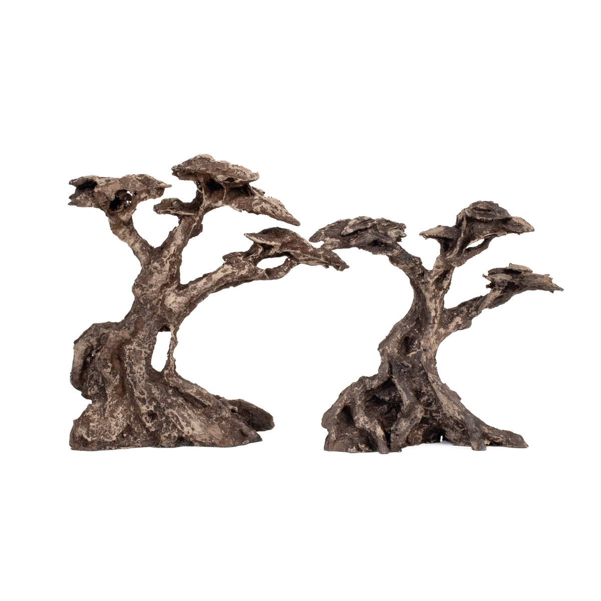 AQPET ZEN BONSAI AUS HARZ 16