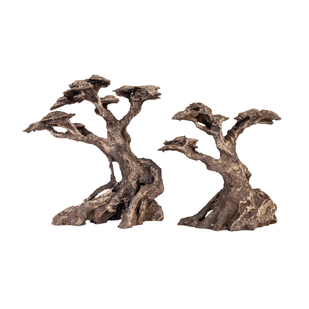AQPET ZEN BONSAI AUS HARZ 16