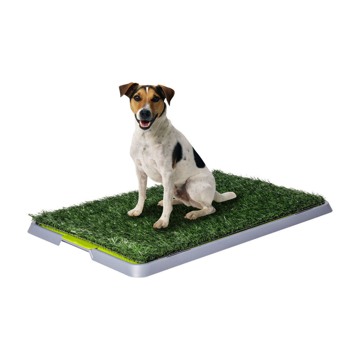 AQPET FRIENDS Hundetoilette DogLitter mit Kunstrasen für Hundewelpen 67x42x5 cm
