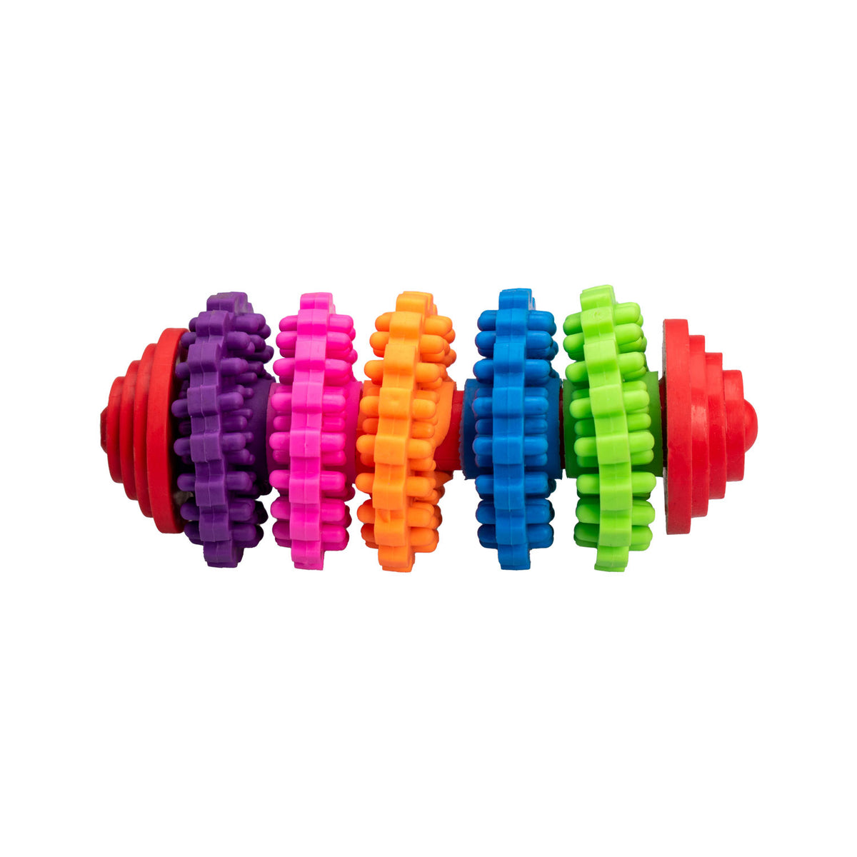 AQPET FRIENDS AQPET Hundespielzeug Dental-Farbzylinder aus Gummi Spielzeug für Hunde Spaß Haustier