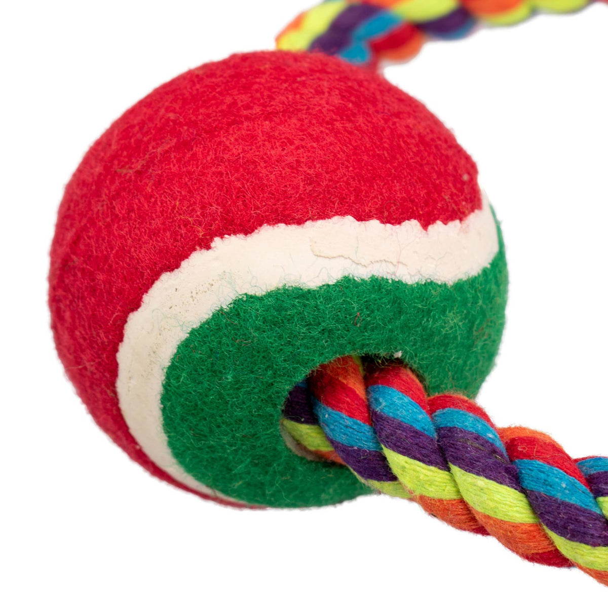 AQPET FRIENDS AQPET Hundespielzeug Smarty Ring aus Seil mit Ball 20 x 7 cm Hundespielzeug Spaß für Haustiere