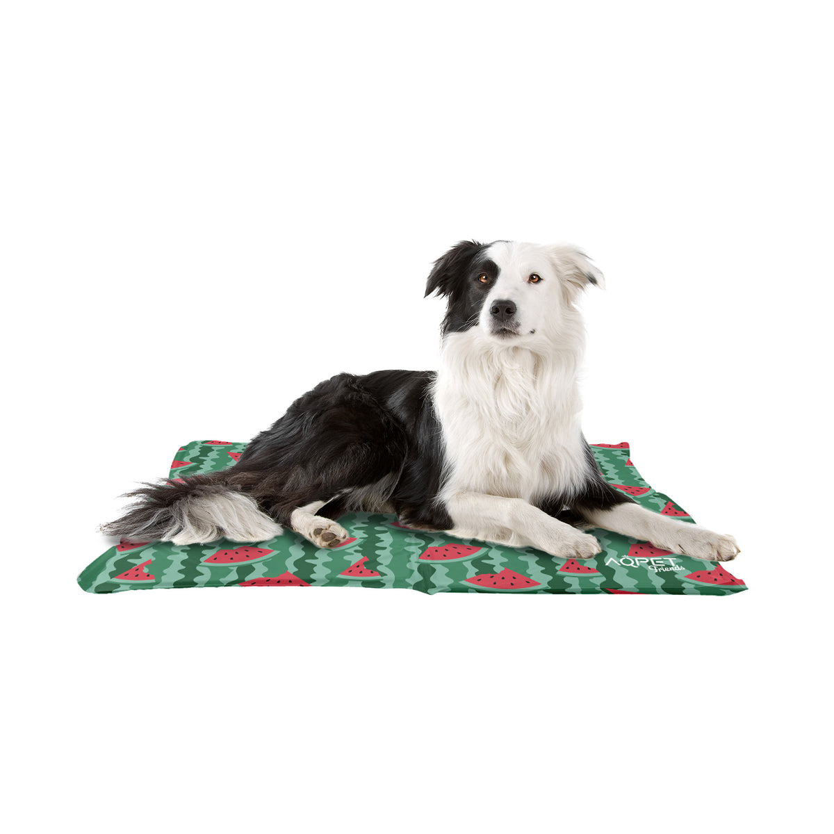 AQPET FRIENDS Kühlmatte für Hunde Katzen Haustiere, Ungiftiges Gel, Frucht-Design