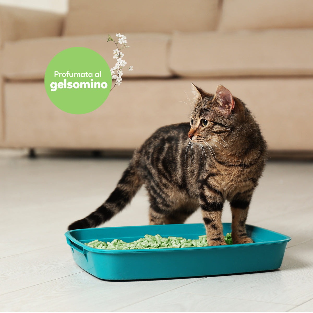 AQPET FRIENDS Catty Green Katzenstreu aus Soja Jasmin Duft 6L Für Katzen Super Saugfähig Geruchsneutral Katzenhygiene