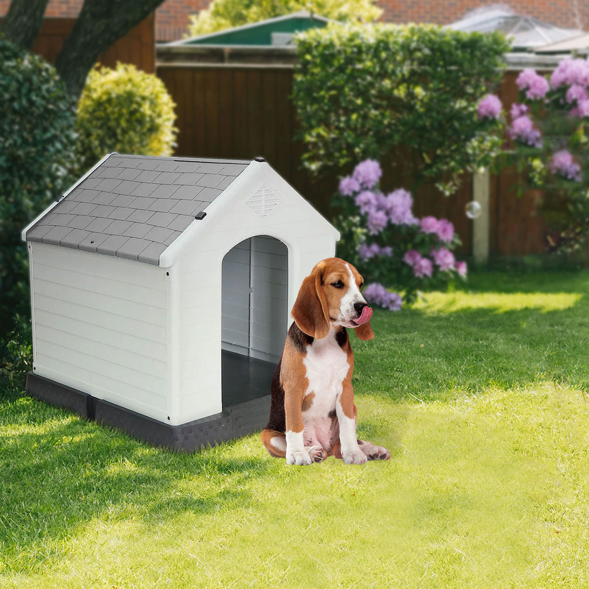 AQPET FRIENDS Chalet Kunststoff Hundehütte Wetterfest Für Hunde Und Katzen Komfort und Entspannung, Für Drinnen und Draußen