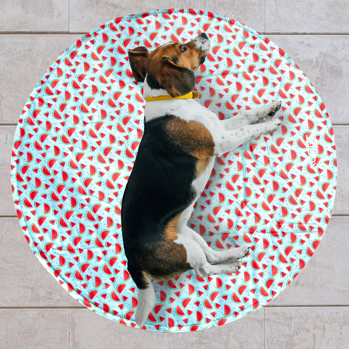 AQPET FRIENDS Kühldecke, kühlende Matte für Hunde, rund, ungiftiges Gel, Selbsterwärmungssystem, Motiv „Fruit“, Durchmesser 60 cm