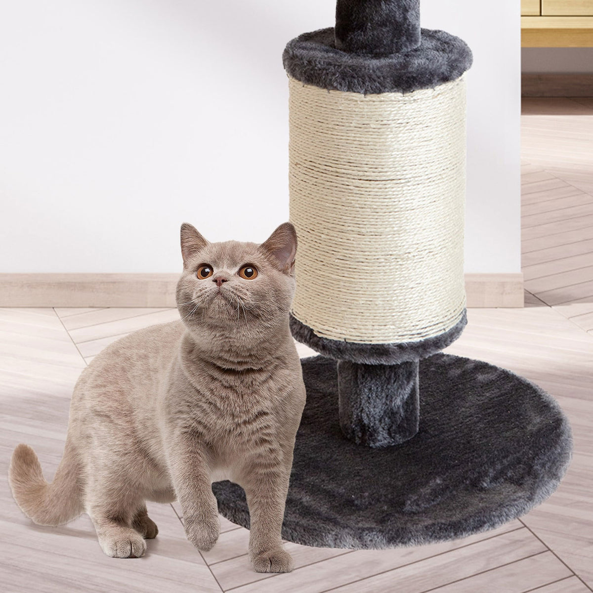 AQPET FRIENDS Kratzbaum aus Sisal und Stoff mit Plattform, 58 cm hoch für den ultimativen Spaß Ihrer Katze, Farbe Grau