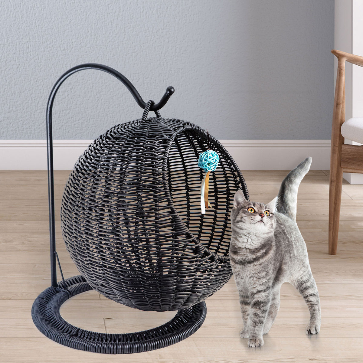 AQPET FRIENDS Morfeo Hängende Katzenhöhle für Katzen und Kätzchen aus handgeflochtenem Korbgeflecht mit weichem Kissen, schwarz, 46x62 cm