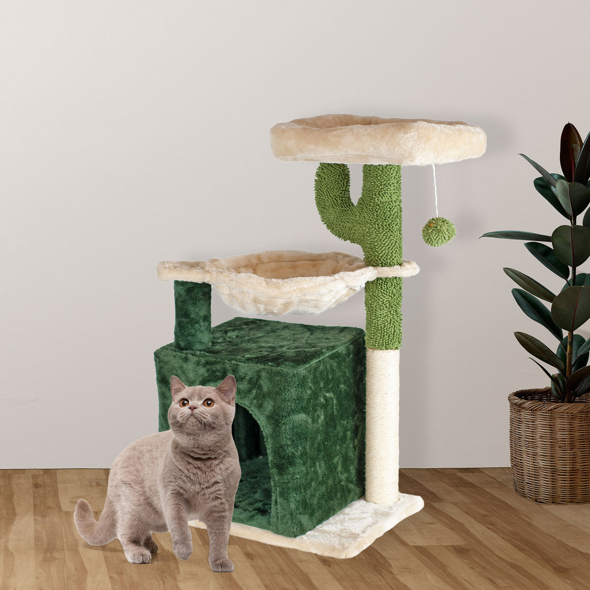 AQPET FRIENDS Kratzbaum Mexico 40X30X75 Cm Für Katzen Spielzeug Katze Entspannung Und Spaß
