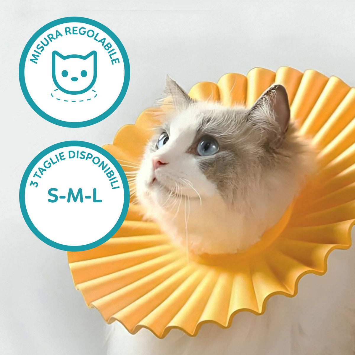 AQPET FRIENDS Weicher Halskragen für Katzen, Tiere, flexibler und leichter Kunststoff, Doppelschicht, verstellbar und bequem, Schutz nach Operationen und Verletzungen