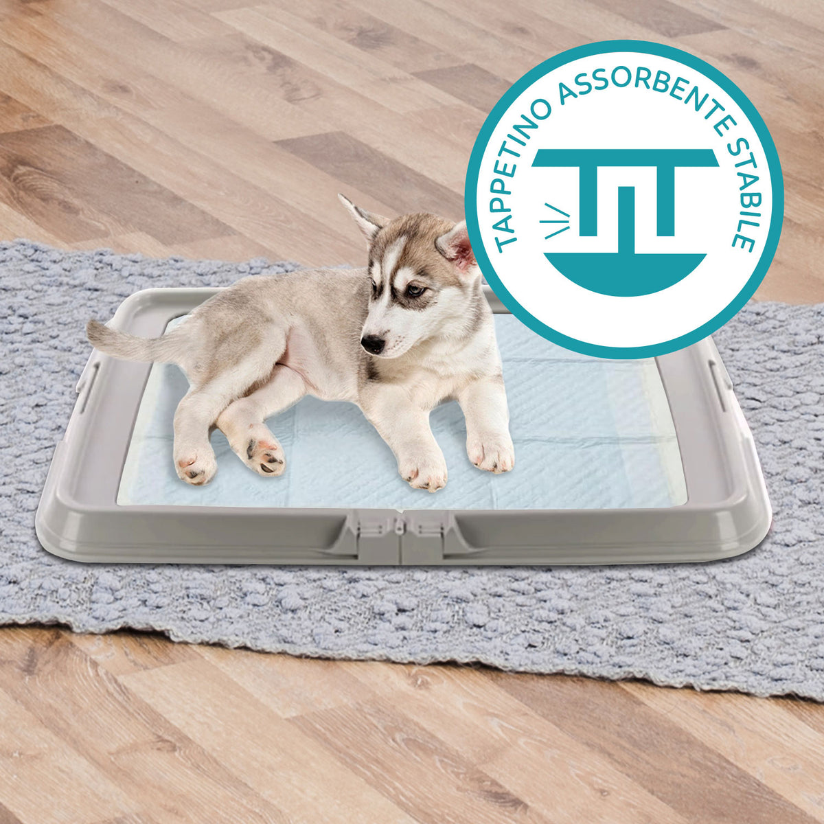 AQPET FRIENDS Hundetoilette, faltbar 86x62 cm, Schale für Saugmatten, ideal für Welpentraining und den Gebrauch zu Hause