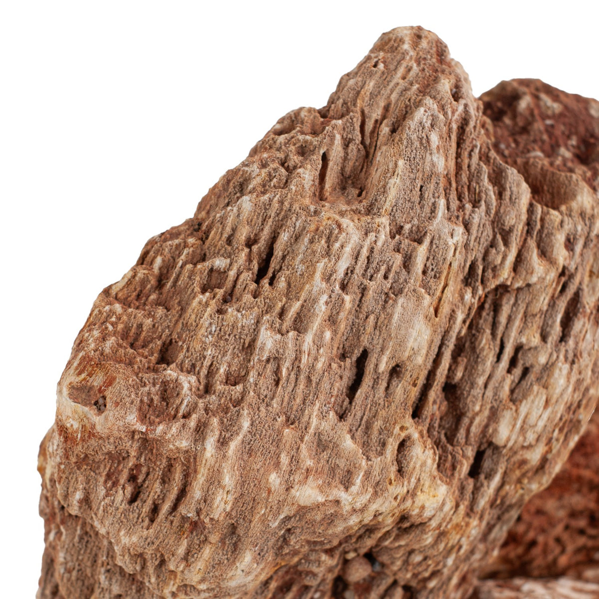 AQPET ZEN STONE ROCCE RED WOOD FOSSIL (PACK. 20KG GEMISCHT)