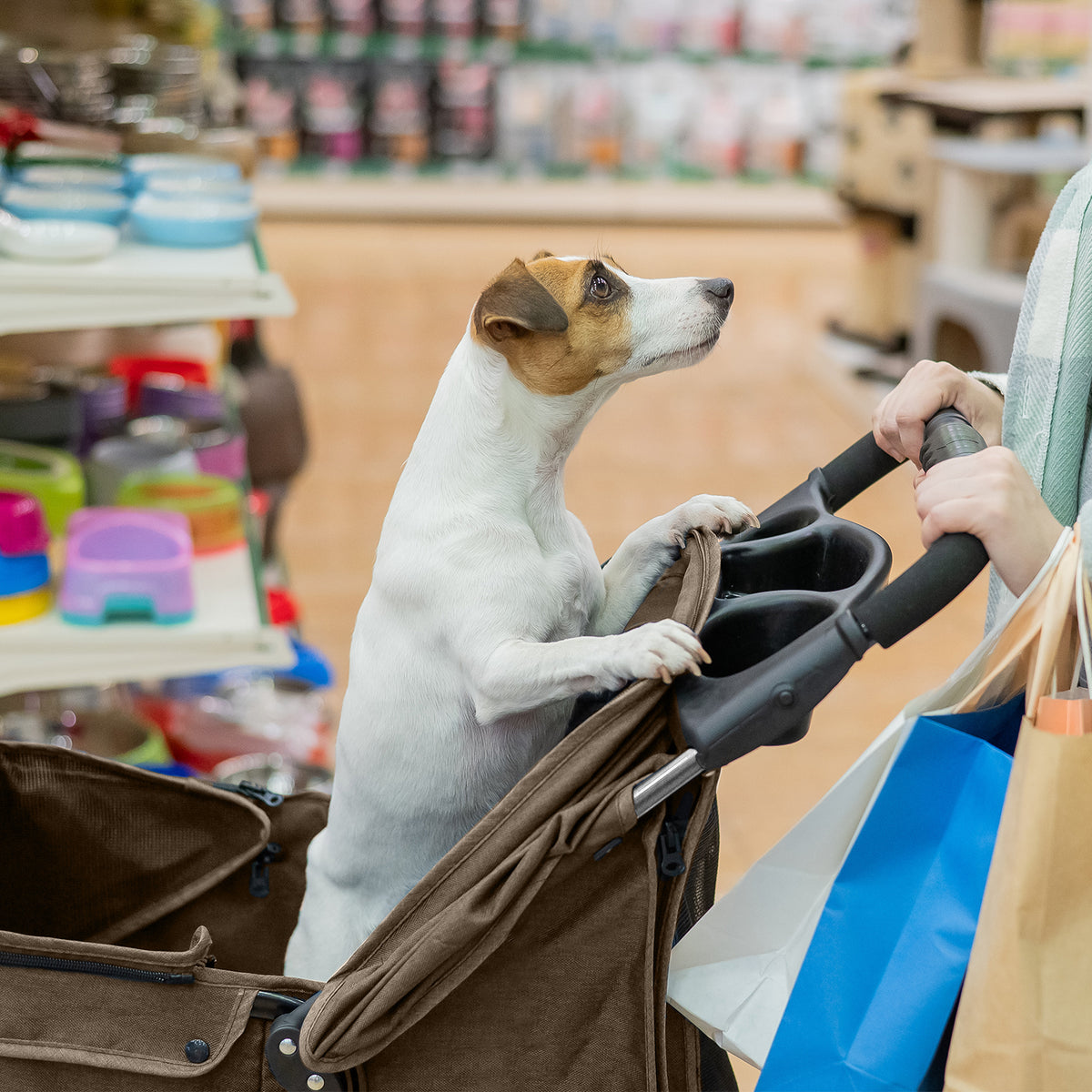 AQPET FRIENDS Bequemer und praktischer Kinderwagen für Hunde mittlerer/kleiner Größe für Hunde und Katzen Sichere Reise