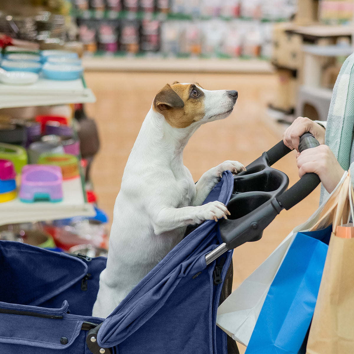 AQPET FRIENDS Bequemer und praktischer Kinderwagen für Hunde mittlerer/kleiner Größe für Hunde und Katzen Sichere Reise