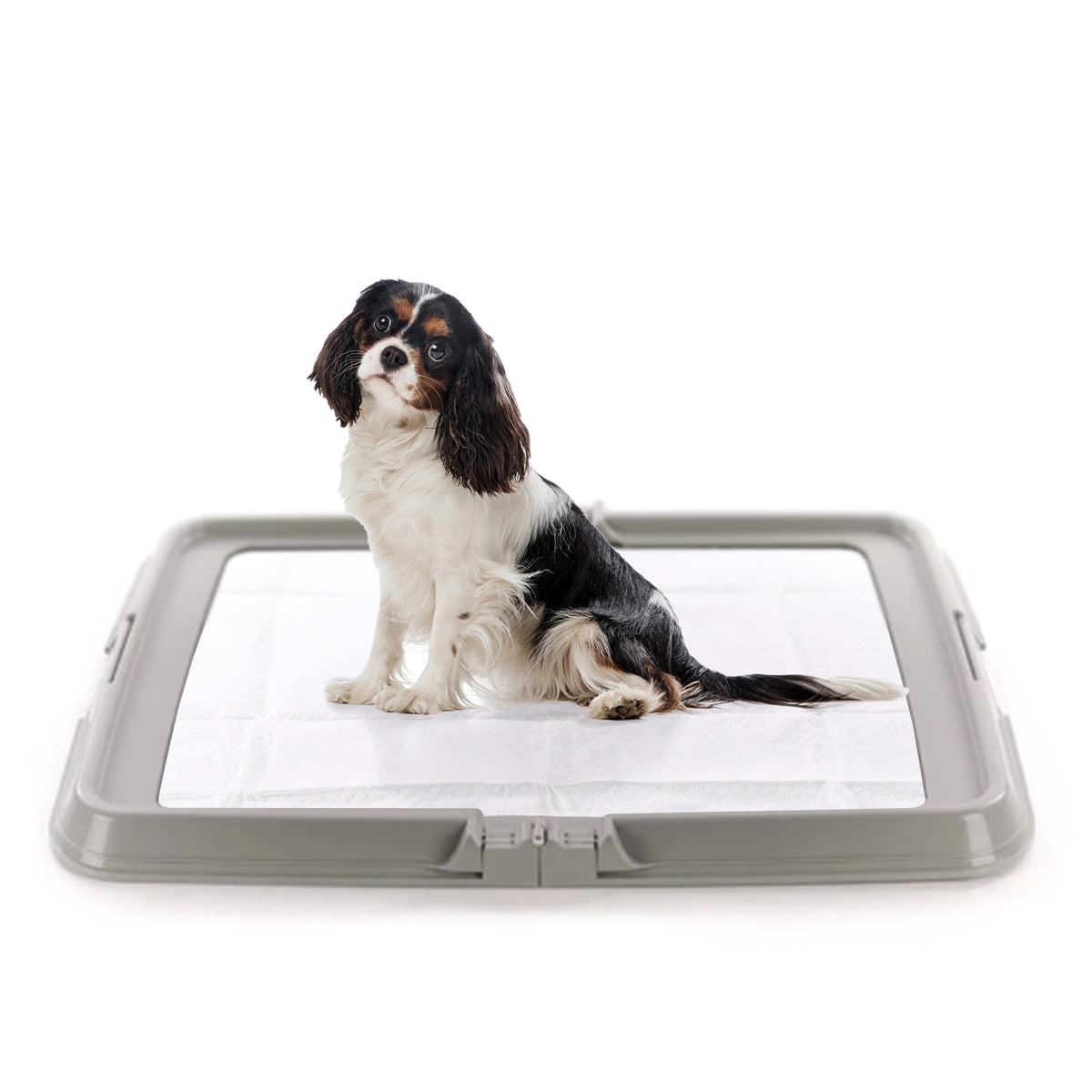 AQPET FRIENDS Hundetoilette, faltbar 86x62 cm, Schale für Saugmatten, ideal für Welpentraining und den Gebrauch zu Hause