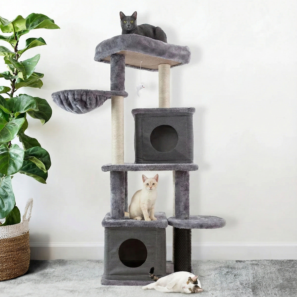 AQPET FRIENDS Kratzbaum London 48x44x125 cm H für Katzen Spielzeug Katze Entspannung & Spaß Spiel