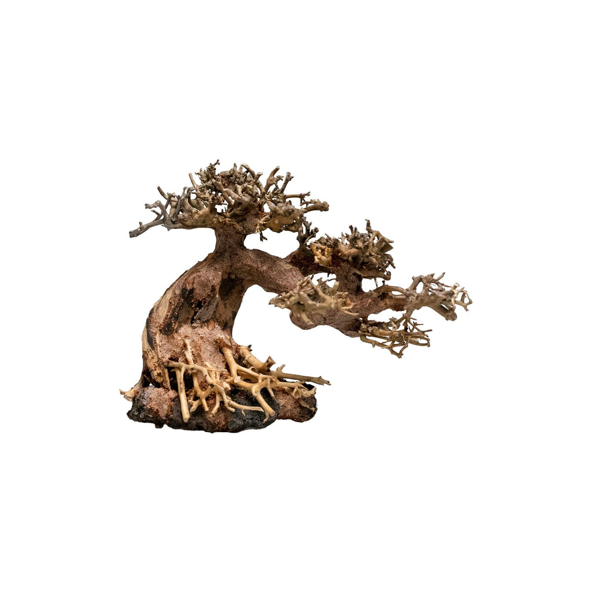 AQPET ZEN BONSAI STORCH