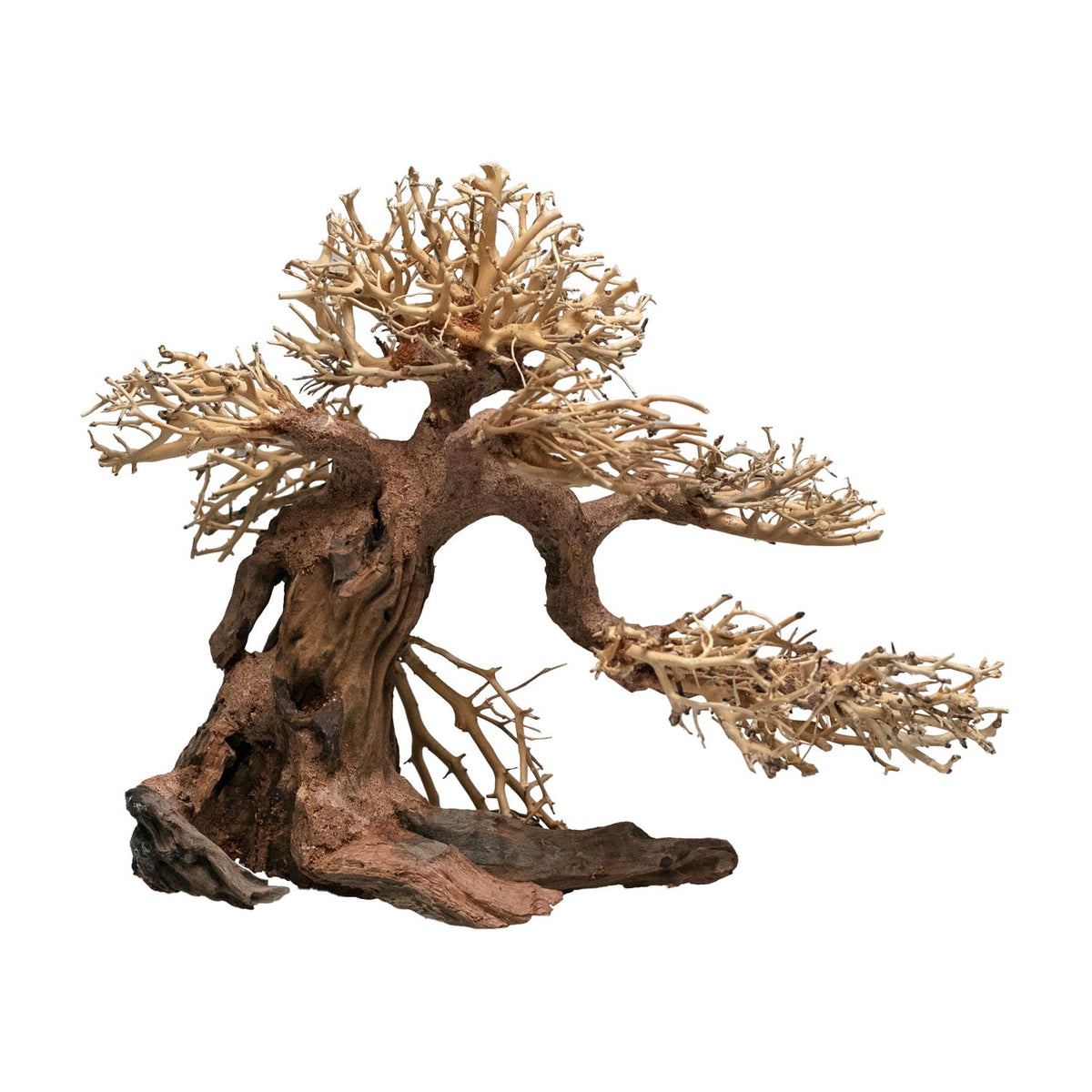 AQPET ZEN BONSAI HOLZ