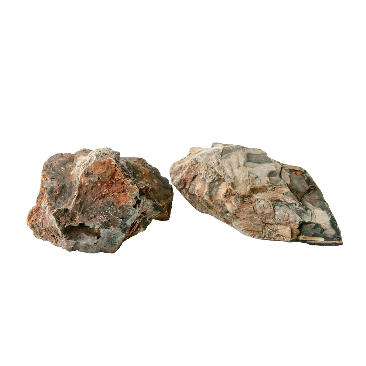 AQPET ZEN STONE HOLZFOSSILE (GEBINDE 20KG GEMISCHT) 300GR /3 KG
