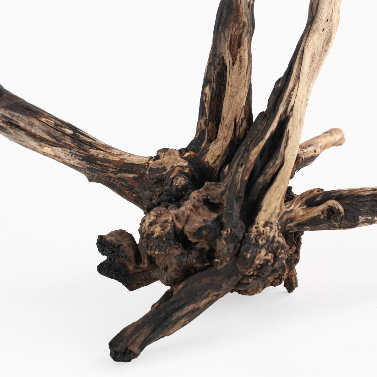 AQPET ZEN WOOD SCHWARZ SCHMAL